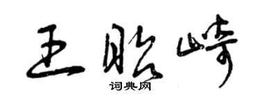曾庆福王昭崎草书个性签名怎么写