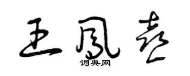 曾庆福王凤喜草书个性签名怎么写