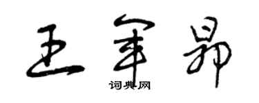 曾庆福王军昂草书个性签名怎么写