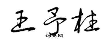 曾庆福王予柱草书个性签名怎么写