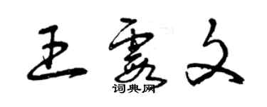 曾庆福王霞文草书个性签名怎么写