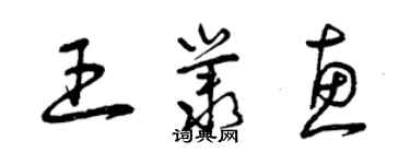 曾庆福王丛惠草书个性签名怎么写