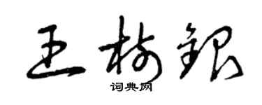 曾庆福王树银草书个性签名怎么写