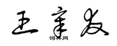 曾庆福王章友草书个性签名怎么写