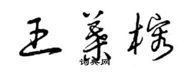 曾庆福王叶榕草书个性签名怎么写