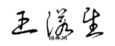 曾庆福王诺望草书个性签名怎么写