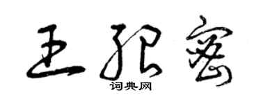 曾庆福王绍密草书个性签名怎么写