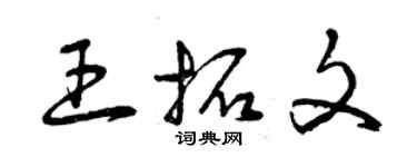 曾庆福王拓文草书个性签名怎么写