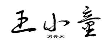 曾庆福王小童草书个性签名怎么写