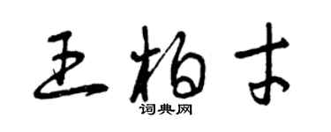 曾庆福王柏才草书个性签名怎么写