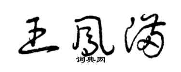 曾庆福王凤满草书个性签名怎么写
