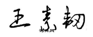 曾庆福王素韧草书个性签名怎么写