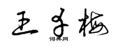 曾庆福王幸梅草书个性签名怎么写