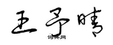 曾庆福王予晴草书个性签名怎么写