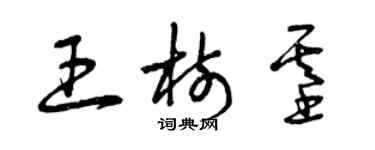 曾庆福王树基草书个性签名怎么写