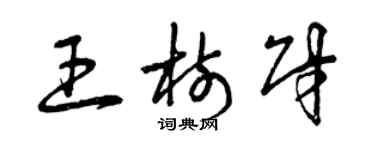 曾庆福王树财草书个性签名怎么写