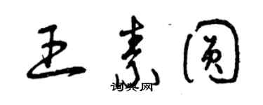 曾庆福王素圆草书个性签名怎么写