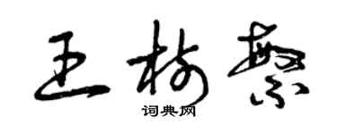 曾庆福王树繁草书个性签名怎么写