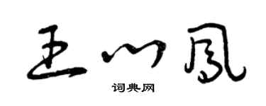 曾庆福王心凤草书个性签名怎么写