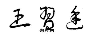 曾庆福王习廷草书个性签名怎么写