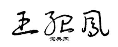 曾庆福王纪凤草书个性签名怎么写