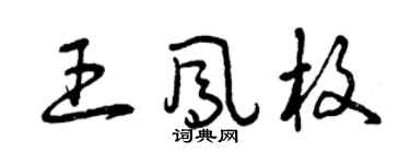 曾庆福王凤枚草书个性签名怎么写