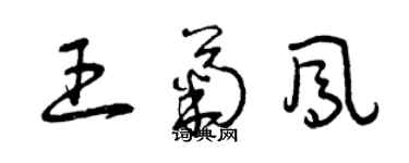 曾庆福王菊凤草书个性签名怎么写