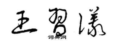 曾庆福王习仪草书个性签名怎么写