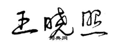 曾庆福王晓照草书个性签名怎么写