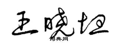 曾庆福王晓坦草书个性签名怎么写