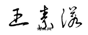 曾庆福王素诺草书个性签名怎么写