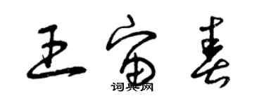 曾庆福王宙春草书个性签名怎么写