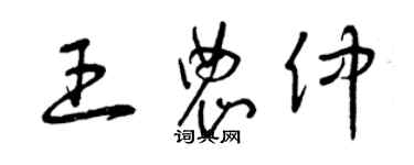 曾庆福王农仲草书个性签名怎么写