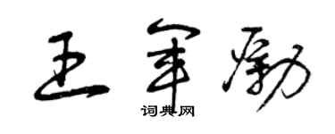 曾庆福王军励草书个性签名怎么写