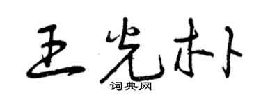 曾庆福王光朴草书个性签名怎么写