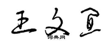 曾庆福王文宜草书个性签名怎么写