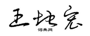 曾庆福王地宏草书个性签名怎么写