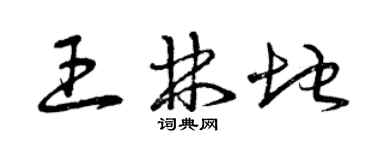 曾庆福王林地草书个性签名怎么写