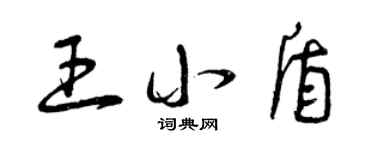 曾庆福王小盾草书个性签名怎么写