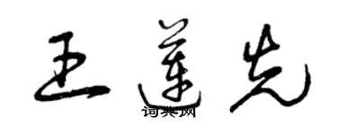 曾庆福王莲先草书个性签名怎么写
