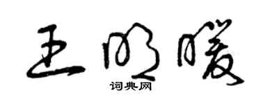 曾庆福王明暖草书个性签名怎么写