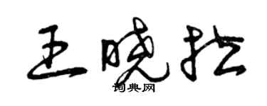 曾庆福王晓拉草书个性签名怎么写