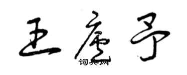 曾庆福王庐予草书个性签名怎么写