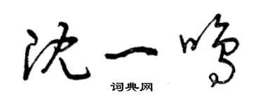 曾庆福沈一鸣草书个性签名怎么写