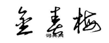 曾庆福金春梅草书个性签名怎么写