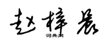 朱锡荣赵梓晨草书个性签名怎么写
