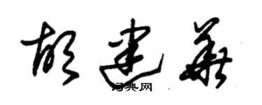 朱锡荣胡建华草书个性签名怎么写