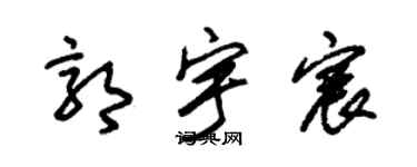 朱锡荣郭宇宸草书个性签名怎么写