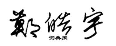 朱锡荣郑皓宇草书个性签名怎么写