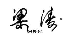 朱锡荣梁涛草书个性签名怎么写